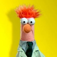 Beaker (@hugoandbob) 's Twitter Profile Photo Beaker (@hugoandbob) 's Twitter Profile Photo