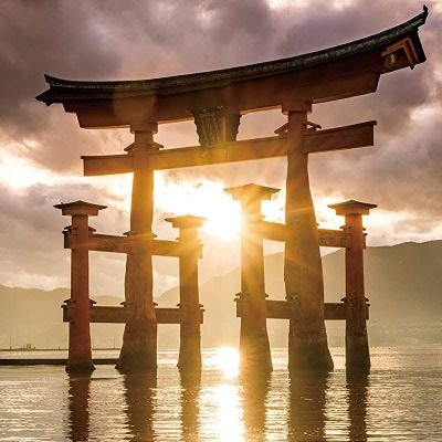 DqW6OSSMWSduV0E's profile picture. ネトウヨ