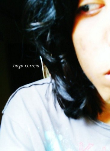 Página no twitter do blog: http://t.co/fxsvy0peps