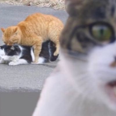 czBqwvQYnx41191's profile picture. 気がむくままに…