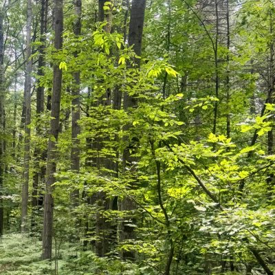 tom1tim's profile picture. 