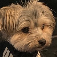 SAWNIC (@sawniccc) 's Twitter Profile