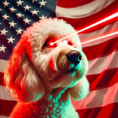chauncey8888's profile picture. $BTC