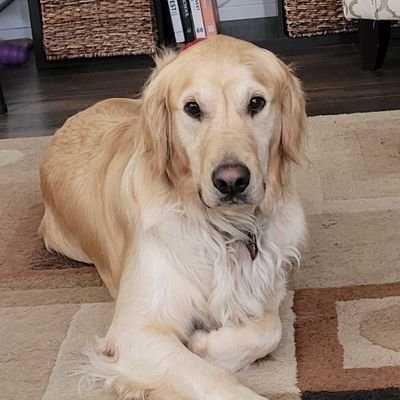 cdofreak's profile picture. 