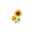 ซัน' เฟลา เวอะ🌻🦮 (@puipui_ag) Twitter profile photo ซัน' เฟลา เวอะ🌻🦮 (@puipui_ag) Twitter profile photo