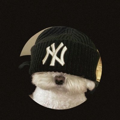 Thomas157419464's profile picture. Tech and Crypto Is the only way
