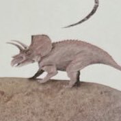 𓃦 𝕔 𝕠 𝕞 𝕚 𓃥さんのプロフィール画像