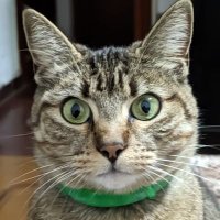 Usinarp (@usinarp) 's Twitter Profile