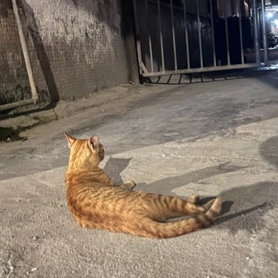 sandworldtrip's profile picture. 一个探索世界的人
