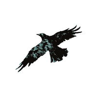  black a͟l͟y͟ (@rlverborne) 's Twitter Profile