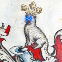 Copi Cat (@cardano_cod) 's Twitter Profile