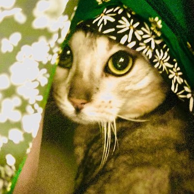 Serph_infoさんのプロフィール画像