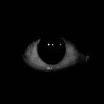 davi_lotus's profile picture. O que é sempiterno o tempo não apaga