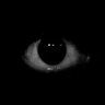 davi_lotus's profile picture. O que é sempiterno o tempo não apaga