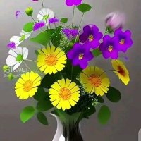 علي الرقيعي (@lalashlm58976) 's Twitter Profile Photo