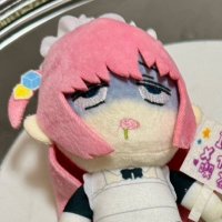 えぬは (@s_n_c_e_s_n_f_e) 's Twitter Profile