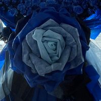 lemon (@fu_lemon1024) 's Twitter Profile