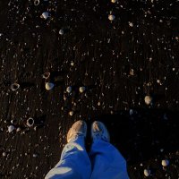 jess🎀 (@drjess99003) Twitter profile photo