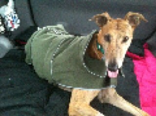 ISauertieg's profile picture. 