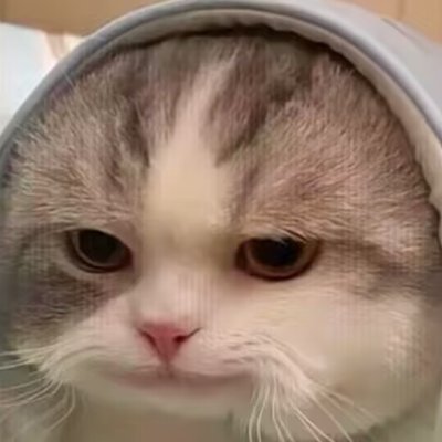 WenGao85249's profile image