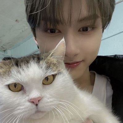 첼리cyさんのプロフィール画像