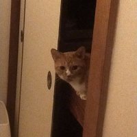 ota (@ttbbkg86) 's Twitter Profile Photo ota (@ttbbkg86) 's Twitter Profile Photo