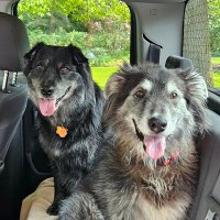J Schneits (@jschneits) 's Twitter Profile