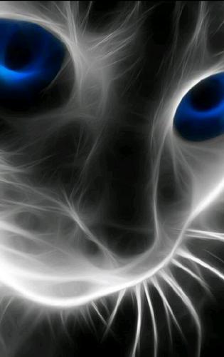 SiljeKEriksen's profile picture. 