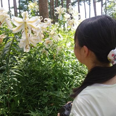 myfasoneoks's profile picture. 語学、ハンドメイド、本、ミッフィーが好きです✨東京ヤクルトスワローズ応燕しています。30代5歳差夫婦👫24年2月~自己流タイミング法。25年2月~🆑4月卵管造影タイミング法→人工授精①②③×妊活中です👶🧚みたことないです。よろしくお願いします。埼玉→宮城在住🏠派遣事務職→介護職　♡は共感と応援の気持ちです😊