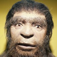 JustANeanderthal (@neanderthal0666) 's Twitter Profile