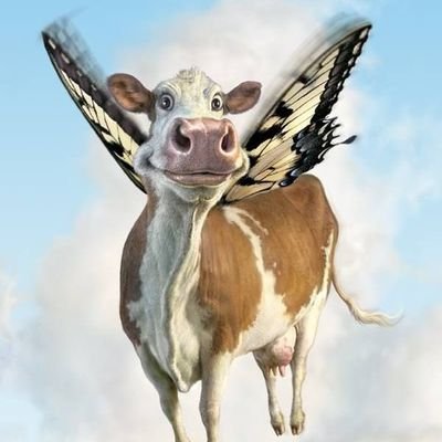cowさんのプロフィール画像