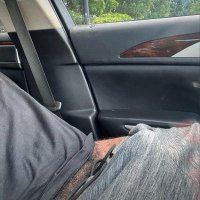 bigdicktrucker (@bigdicktrucker1) 's Twitter Profile