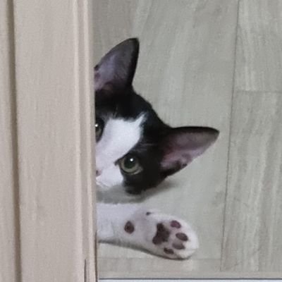 땁さんのプロフィール画像