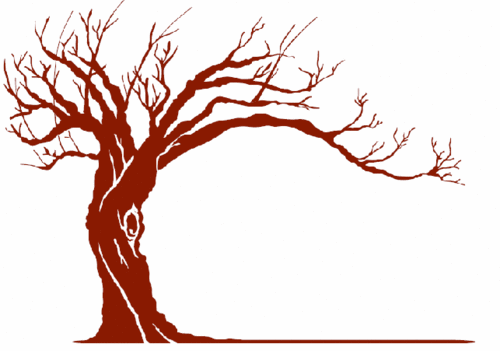 RussetPhilly's profile picture. We are a true farm-to-table restaurant near Philadelphia’s Rittenhouse Square. We love food, its growers, and those who enjoy it. -Chefs Andrew and Kristin Wood