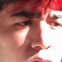 dan (@dddani_sp) 's Twitter Profile