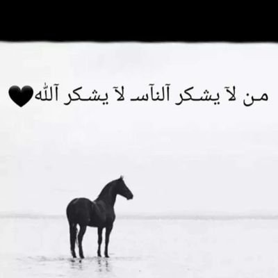 mlml50844674's profile picture. كل شي تتمناه نفوسنا ستراه أعيننا بحسن الظن بالله والدعاء ..