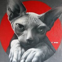 False (@faux_fast) 's Twitter Profile