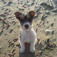 amy quant (@quanty) 's Twitter Profile
