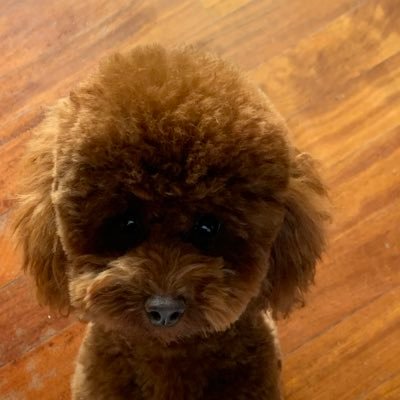 SusyDalla16's profile picture. 