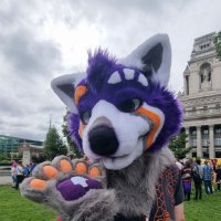 Flint (@furflint) 's Twitter Profile Photo Flint (@furflint) 's Twitter Profile Photo