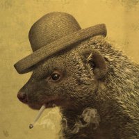 Mangoest🇳🇱 (@demangoest) 's Twitter Profile
