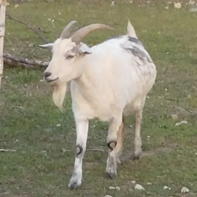 御三家さんのプロフィール画像