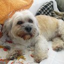 isabel mateu - @isenbeim - Twitter