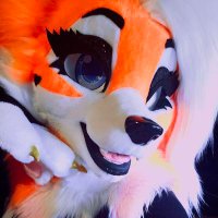 Autumn (@thecheerfox) 's Twitter Profile