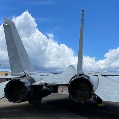 superwhiteblack's profile picture. 社会人大学院で修行中です。海生生物好き🐬