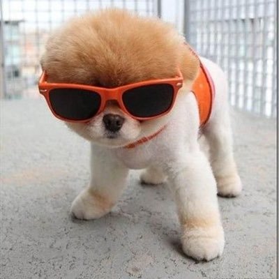 al_ayna8's profile picture. 🩺