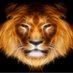 Leo (@leoparis2024) Twitter profile photo Leo (@leoparis2024) Twitter profile photo