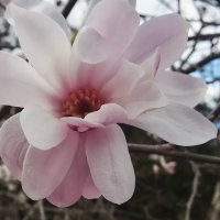 Inf0war❢消費税廃止が日本復活の鍵 (@iyurjuk) 's Twitter Profile