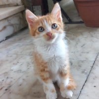 jajsjsjsjsjsjjsjs (@quenn098) 's Twitter Profile