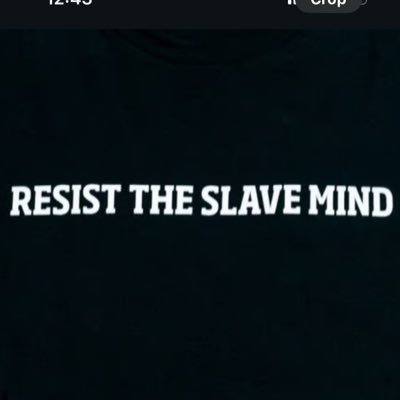 JaanusRemmel's profile picture. 